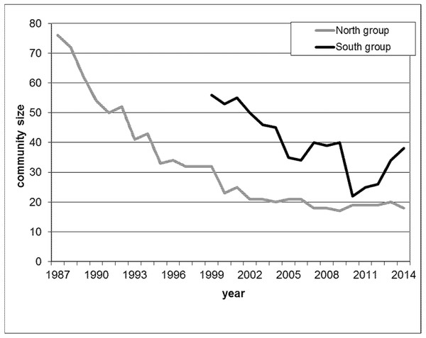 Yearly maximal community size during the study period for North group (grey line) from 1987 until 2014 and for South group (black line) from 1999 until 2014.