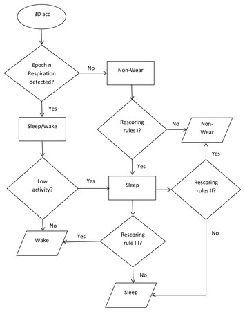 Ambulatory sleep scoring using accelerometers—distinguishing between ...