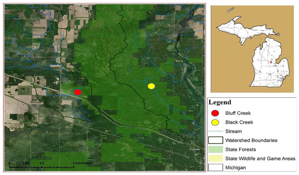 Location of watersheds containing Bluff and Black Creeks, Michigan, USA. Field sampling for swine DNA was conducted from August 2017 to April 2018.