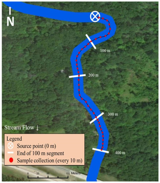 Sampling design used in Bluff and Black Creeks, Michigan, USA, to detect swine DNA in free-flowing streams. Source point represents the location where swine DNA was introduced to the stream.
