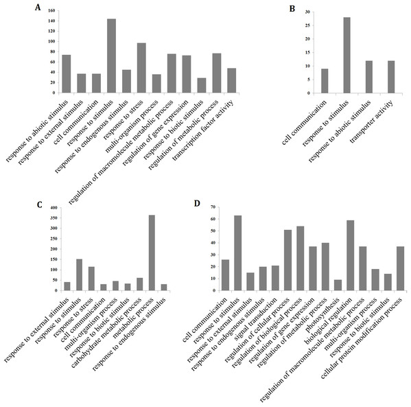 Gene ontology (GO) enrichment analysis of the hybrid rice (II8) genes in Clusters generated by k-means clustering.