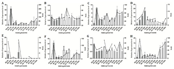 Quantitative real-time RT-PCR (qPCR) validation of the RNA-Seq data from II8 and the paternal F8 and maternal II3 lines.