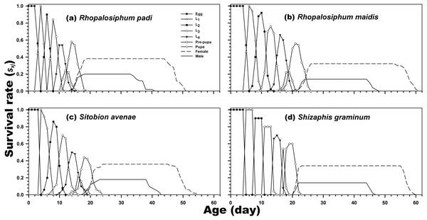 Age-stage-specific survival rate (sxj) of C. septempunctata reared on four aphid species.