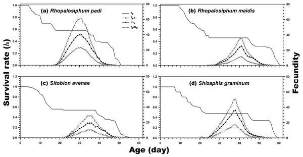 Age-specific survival rate (lx), age-stage-specific female fecundity (fxj), age-specific fecundity (mx), and age-specific net maternity (lxmx) of C. septempunctata reared on four aphid species.