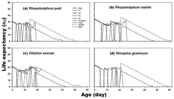 Age-stage-specific life expectancy (exj) of C. septempunctata reared on four aphid species.