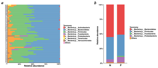 Histogram of the community composition of gut microbiota at the phylum level.