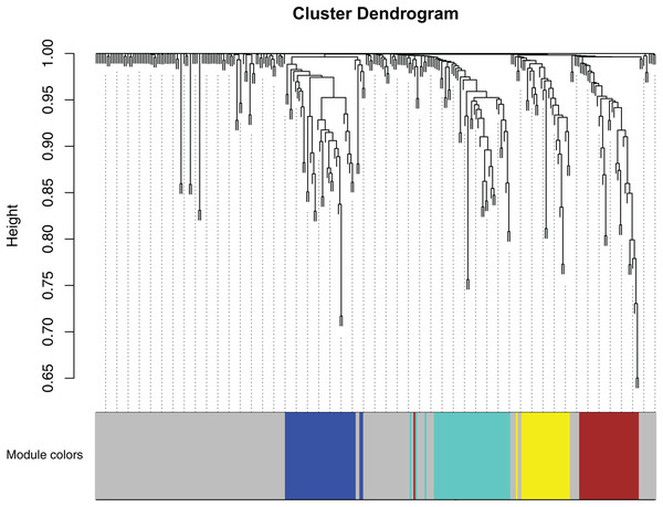 Clustering dendrogram of miRNAs.