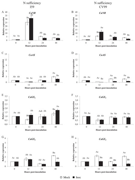 N metabolism gene expression patterns using RT-qPCR analysis for resistant (I59) (A, C, E and G) and susceptible (CV99) (B, D, F and H) genotypes under N sufficiency at 0, 12, 24 and 48 h post-inoculation with mock and rust inoculated coffee leaves.