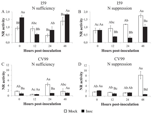 Nitrate reductase in vitro activity in coffee leaves of resistant (I59) (A and B) and susceptible (CV99) (C and D) coffee genotypes under N sufficiency (A and C) and N suppression (B and D) conditions with mock and rust inoculated coffee leaves.