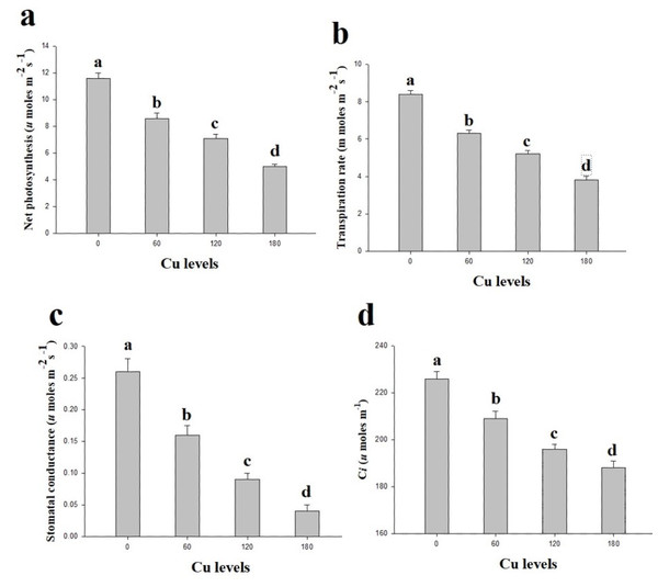 Effect of different levels of Cu on net photosynthesis (A), transpiration rate (B), stomatal conductance (C) and intercellular CO2 (D) on H. cannabinus seedlings.
