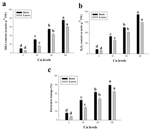 Effect of different levels of Cu on MDA (A), H2O2 (B) and EL (C) on H. cannabinus seedlings.