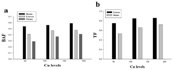 Effect of different levels of Cu on BAF (A) and TF (B) on H. cannabinus seedlings.