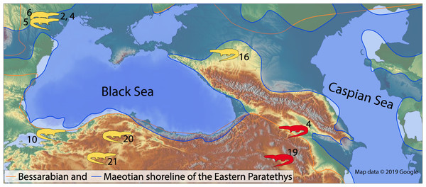 The map of the Eastern Paratethys with the known (in yellow) and herein described (in red) fossil occurrences of the genus Varanus.