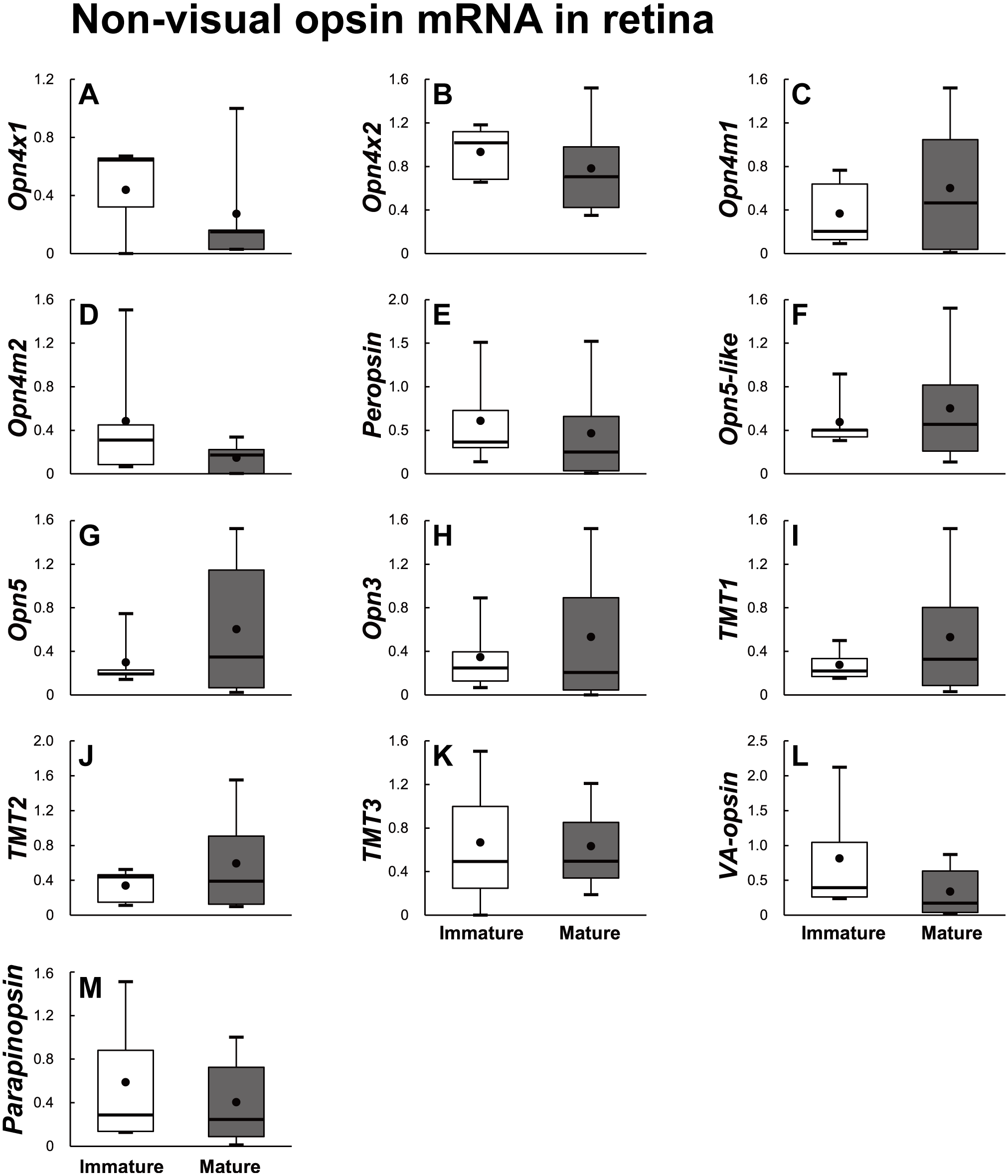 Gene Expression Patterns Of Novel Visual And Non Visual Opsin Families In Immature And Mature