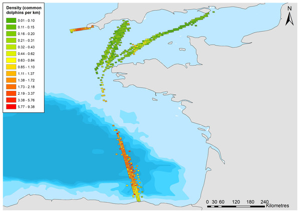 Density of common dolphins (per km 2) across the study area.