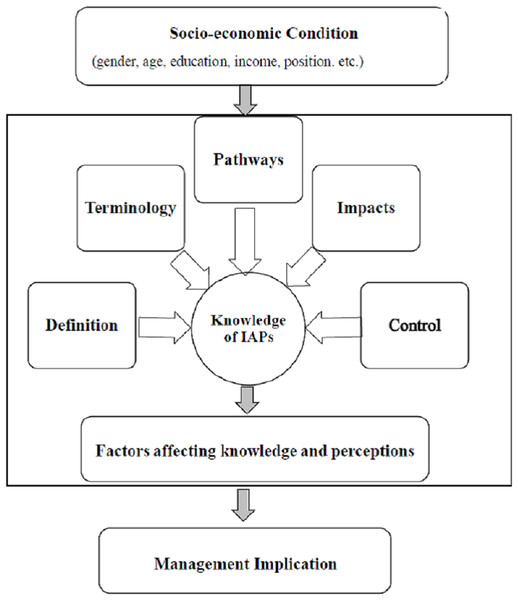 A conceptual framework of individuals’ knowledge and perceptions of IAPs.