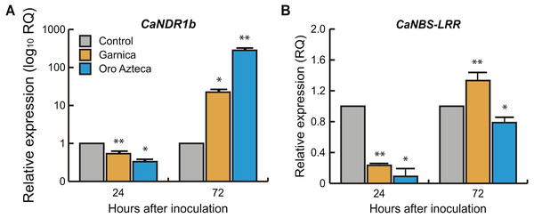 Relative expression of pathogen recognition genes.