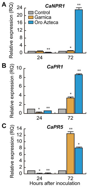 Relative expression of defense and salicylic acid-responsive genes.