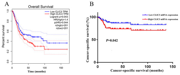 Relationship between CLIC3 mRNA expression and the prognosis of BC patients.
