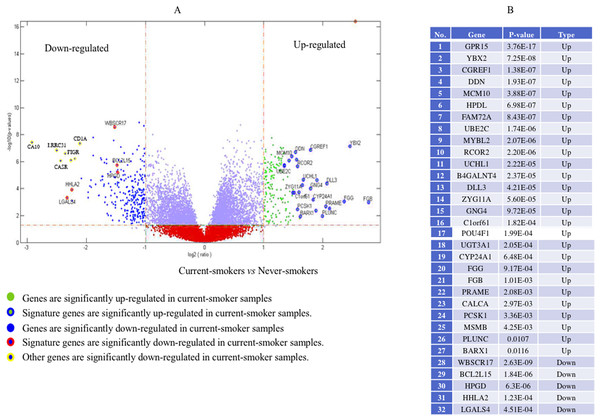 Volcano plot of genome-wide gene expression values in the TCGA dataset.