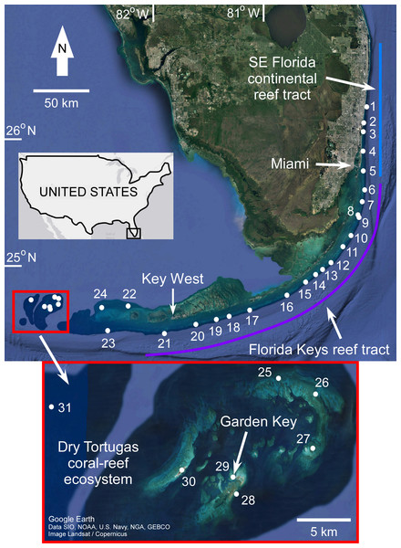 Map of coral sample locations from south Florida.