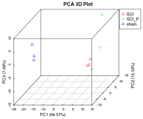 PCA analysis.