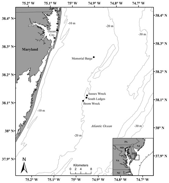 Map of the four artificial reef study sites offshore of Ocean City, MD, where corals were collected.