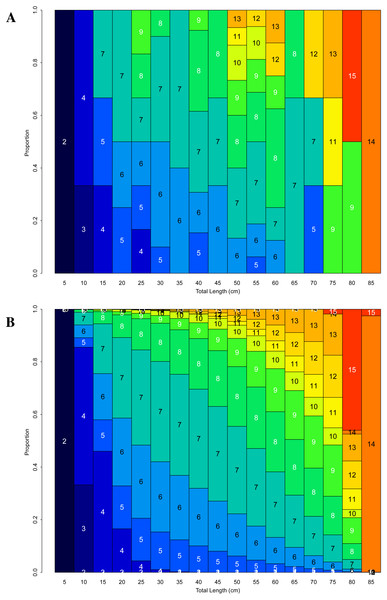 (A) Observed and (B) smoothed age-length keys for  Leptogorgia virgulata colonies.