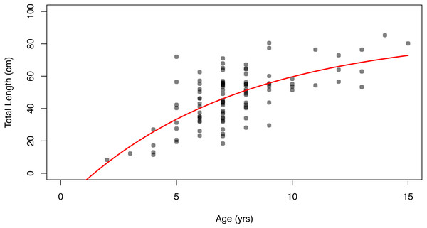 The von Bertalanffy growth model for Leptogorgia virgulata colonies collected from all four study sites.