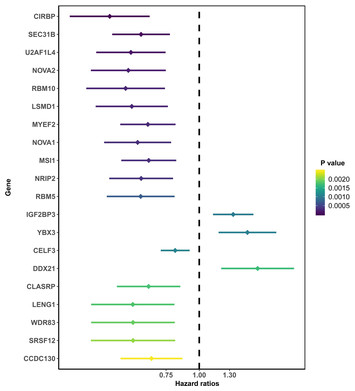 Identification of prognostic splicing factors and exploration of their ...