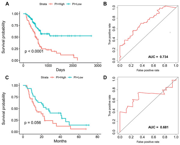 The survival prediction performance of the prognostic index.