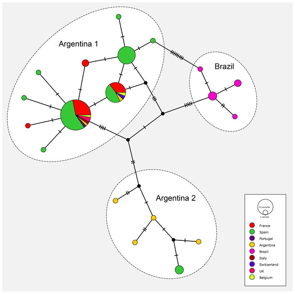 Network of relationships between specimens of Obama nungara from various localities.