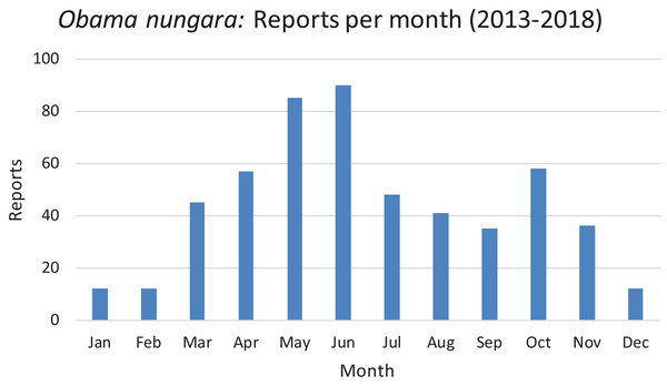Monthly reports of Obama nungara from 2013 to 2018 in France.