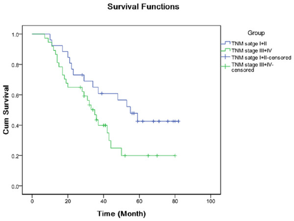 Kaplan–Meier analysis of cumulative survival for TNM stage using Log Rank test.
