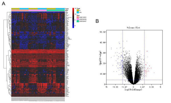 Differentially expressed gene expression heatmap and volcano plot between osteoarthritis and normal controls.