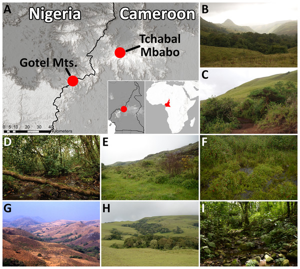 Map of the known distributions and habitats of P. arcanus sp. nov. and P. mbabo sp. nov.