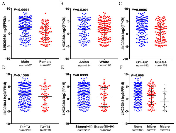 Correlation between LINC00844 downregulation and clinicopathologic features in 254 HCC samples and 50 normal liver tissues based on the original data from TCGA.