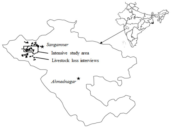 The Ahmednagar district is shown with the study area marked as a polygon where information on livestock losses was collected from households chosen randomly.