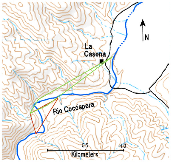 Minimum convex polygons of ocelot R1-female (brown) and R2-male (green) along the Río Cocóspera.