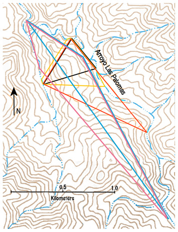 Ecology Of An Ocelot Population At The Northern Edge Of The Species ...