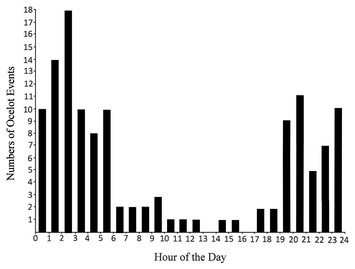 Ecology Of An Ocelot Population At The Northern Edge Of The Species ...