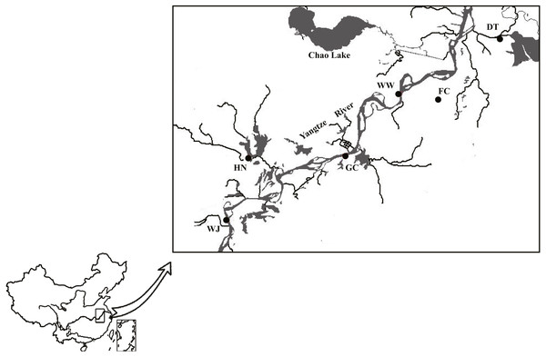 Sampling sites along the Yangtze River mapped using DIVA-GIS.