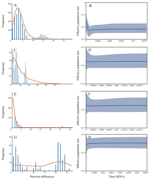  The demographic history inferred from mitochondrial data.