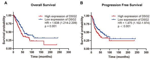 Survival analysis of DSG2 in LUAD.