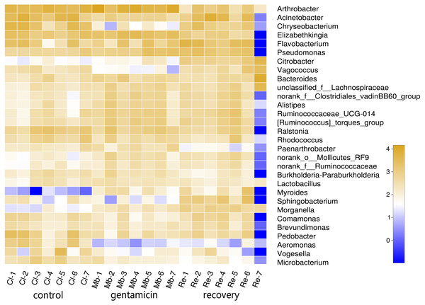 Heatmap of species abundances at the genus level.