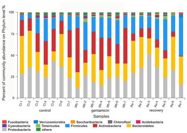 Bacterial community and distribution at the phylum level.