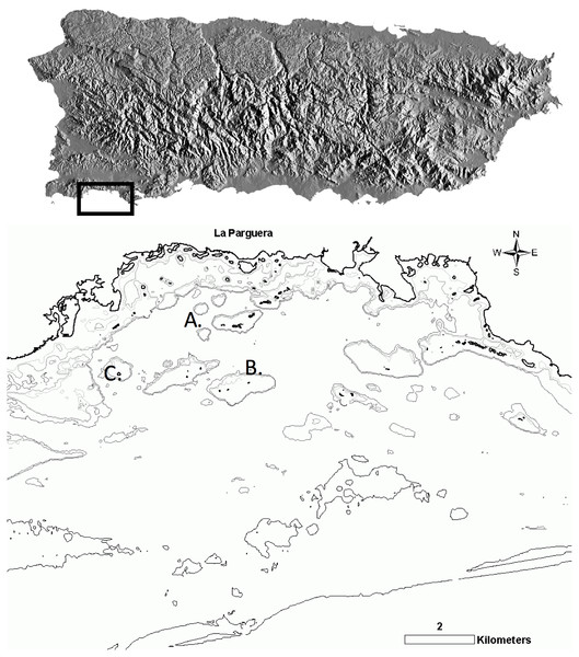 Survey sites in La Parguera Natural Reserve (LPNR) on the southwest of Puerto Rico.