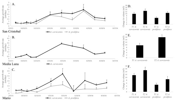 Mean linear growth and volumetric increase in the two taxa in the different localities.