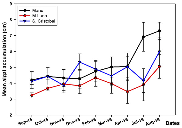 Mean algae accumulation on A. cervicornis.