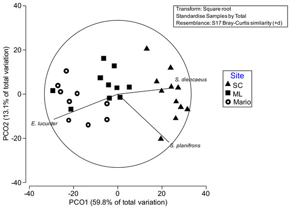 Principal Coordinate ordination plots by sampling time.